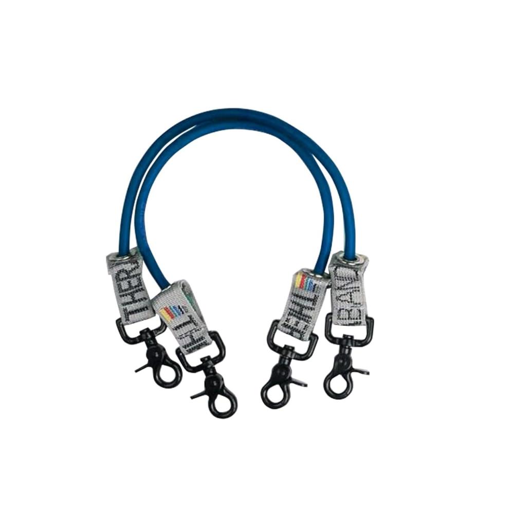 imageTHERABAND Wellness Station Professional Latex Resistance Tubing With Connectors for Physical Therapy Exercise Station for Rehab Pilates Set of 2 12 Inch Blue Extra Heavy Intermediate Level 2Blue Extra Heavy